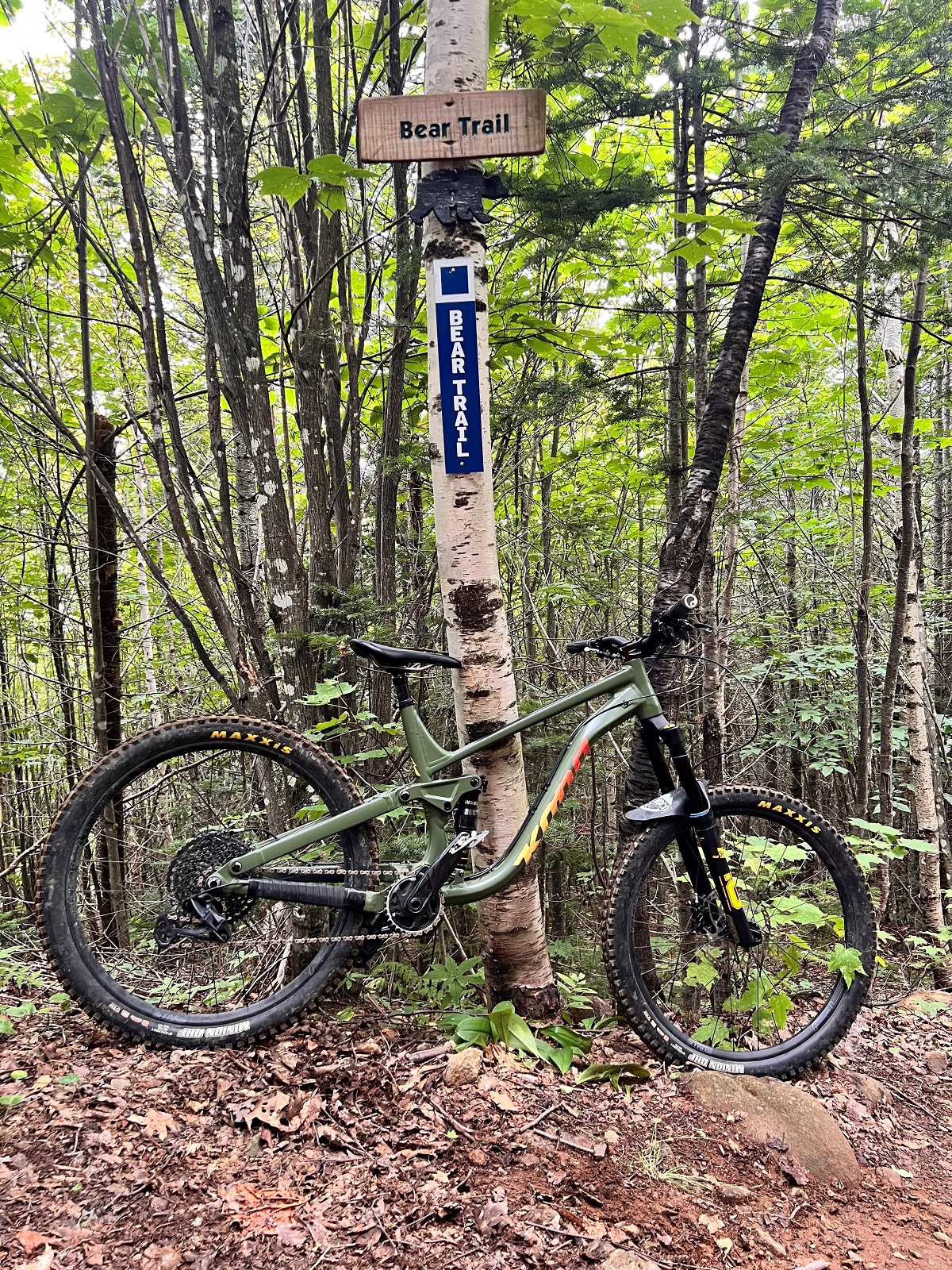 ESC Sugarloaf Bear Trail